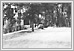  Roslyn Road 1900 03-037 Tribune Pictures UofM Special Archives